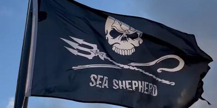 Coming soon: Veja x Sea shepherd - 23.03.2022